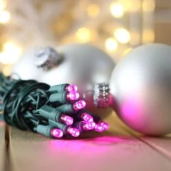 50-light 5mm Purple LED Christmas Lights, 6" Spacing Green Wire -Decorative Lighting Store 5mm Purple LED Christmas lights 082718 20 281 29 10b9aba2 a424 477c 985c e0ead08812cc