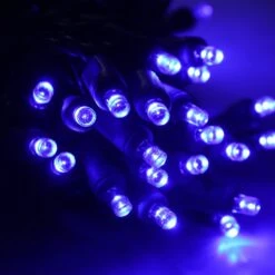 50-light 5mm Blue LED Christmas Lights, 4" Spacing, Green Wire -Decorative Lighting Store 5mm blue led christmas lights c2 bd69fe52 652b 497b b568 ff9334c7e4f1