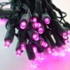 50-light 5mm Pink LED Christmas Lights, 6" Spacing Green Wire -Decorative Lighting Store 5mm pink led christmas lights green wire b c7913414 8899 4a8e bd72 171ae7418d75