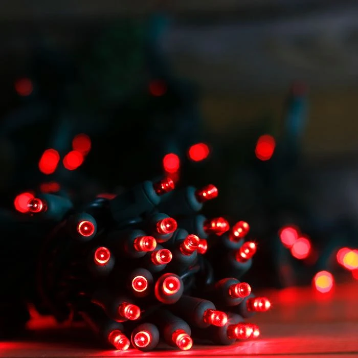 50-light 5mm Red LED Christmas Lights, 4" Spacing Green Wire 7 50-light 5mm Red LED Christmas Lights, 4" Spacing Green Wire - Image 5