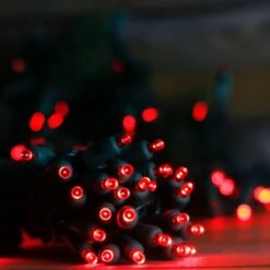 50-light 5mm Red LED Christmas Lights, 6" Spacing Green Wire 12 50-light 5mm Red LED Christmas Lights, 6" Spacing Green Wire -Decorative Lighting Store 5mm red led christmas lights 0923a 20 281 29 67d5d58f 9789 415b 944f 4eacf5c7d6e9