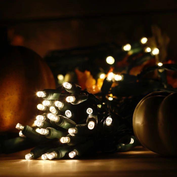 50-light 5mm Warm White LED Christmas Lights, 4" Spacing Green Wire 6 50-light 5mm Warm White LED Christmas Lights, 4" Spacing Green Wire - Image 4