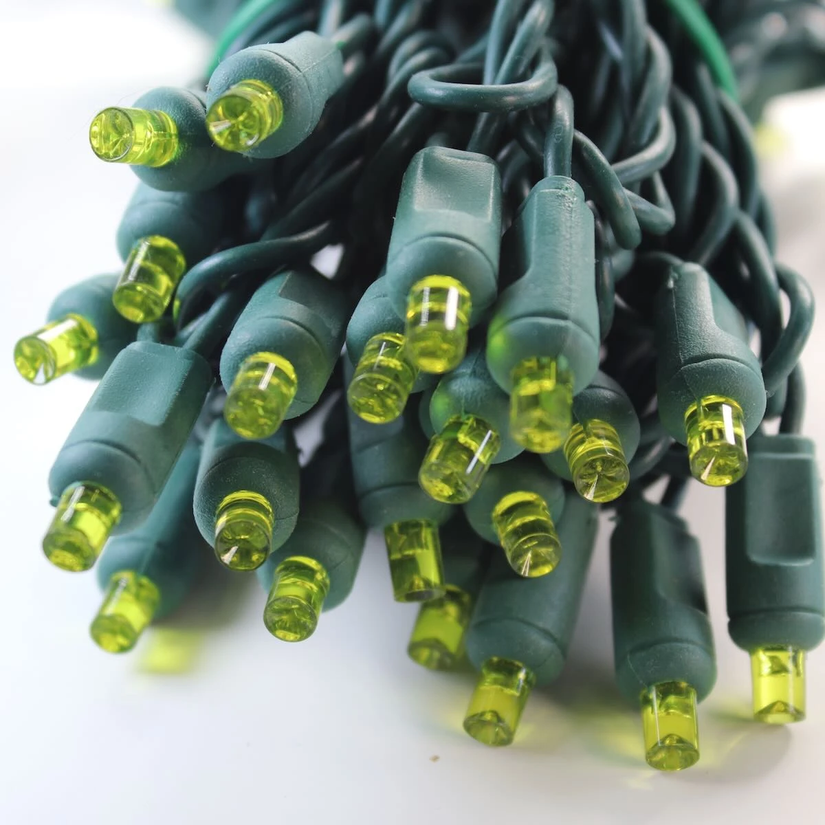 50-light 5mm Yellow LED Christmas Lights, Green Wire 6" Spacing 4 50-light 5mm Yellow LED Christmas Lights, Green Wire 6" Spacing - Image 2