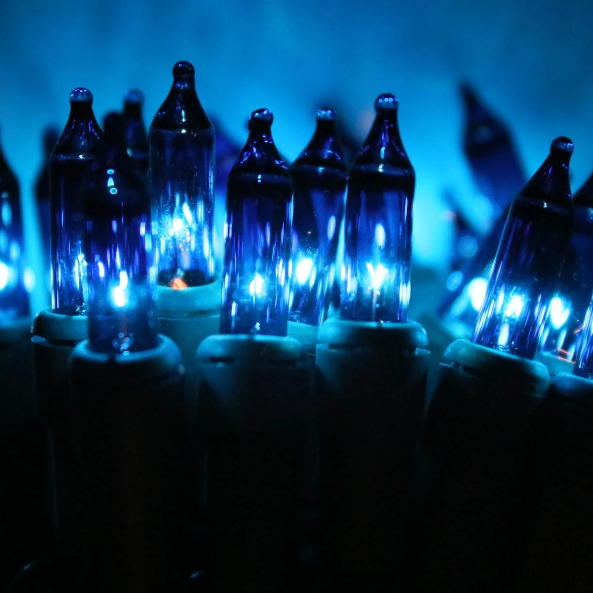 100-bulb Blue Mini Lights, 4" Spacing, Green Wire 5 100-bulb Blue Mini Lights, 4" Spacing, Green Wire - Image 3