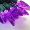 50-light C6 Purple LED Christmas Lights, 4" Spacing Green Wire 2 50-light C6 Purple LED Christmas Lights, 4" Spacing Green Wire -Decorative Lighting Store c6 purple led strings lights green wire b
