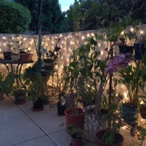 6-Foot Glass Curtain Lights Clear Bulbs White Wire 10 6-Foot Glass Curtain Lights Clear Bulbs White Wire - Image 8