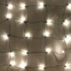 100-light M5 Warm White LED Net Lights, Green Wire -Decorative Lighting Store green m5 led net lights 3