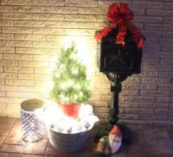 50-light 5mm Pure White LED Christmas Lights, 6" Spacing Green Wire 11 50-light 5mm Pure White LED Christmas Lights, 6" Spacing Green Wire -Decorative Lighting Store led letters to santa 111717 2456ed2d f2ec 431f 94d3 0c2a623fc88b