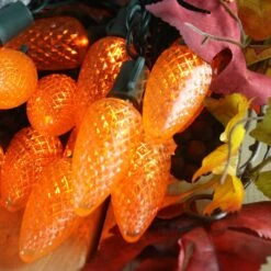 25-light C9 Orange LED Christmas Lights, 8" Spacing Green Wire -Decorative Lighting Store orange c9 led christmas lights 080518a