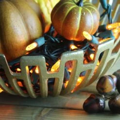 50-light M5 Orange LED Christmas Lights, 4" Spacing Green Wire -Decorative Lighting Store orange m5 LED christmas lights 101818