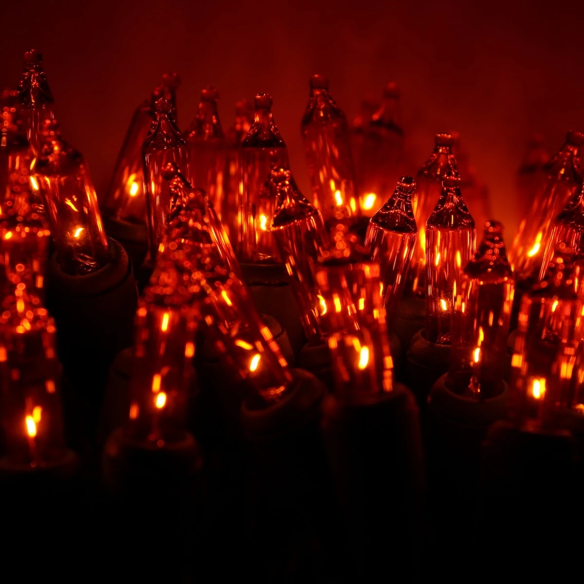 100-bulb Orange Mini Lights, 6" Spacing, Green Wire 5 100-bulb Orange Mini Lights, 6" Spacing, Green Wire - Image 3