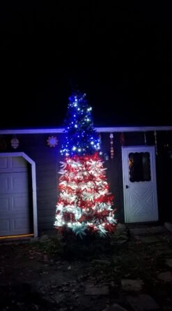 50-light 5mm Red LED Christmas Lights, 4" Spacing White Wire 15 50-light 5mm Red LED Christmas Lights, 4" Spacing White Wire -Decorative Lighting Store pinkerton customer photo