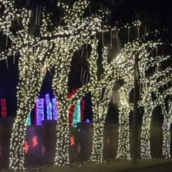 50-light M5 Warm White LED Christmas Lights, 4" Spacing Green Wire 9 50-light M5 Warm White LED Christmas Lights, 4" Spacing Green Wire -Decorative Lighting Store pure white led christmas lights green wire 122617