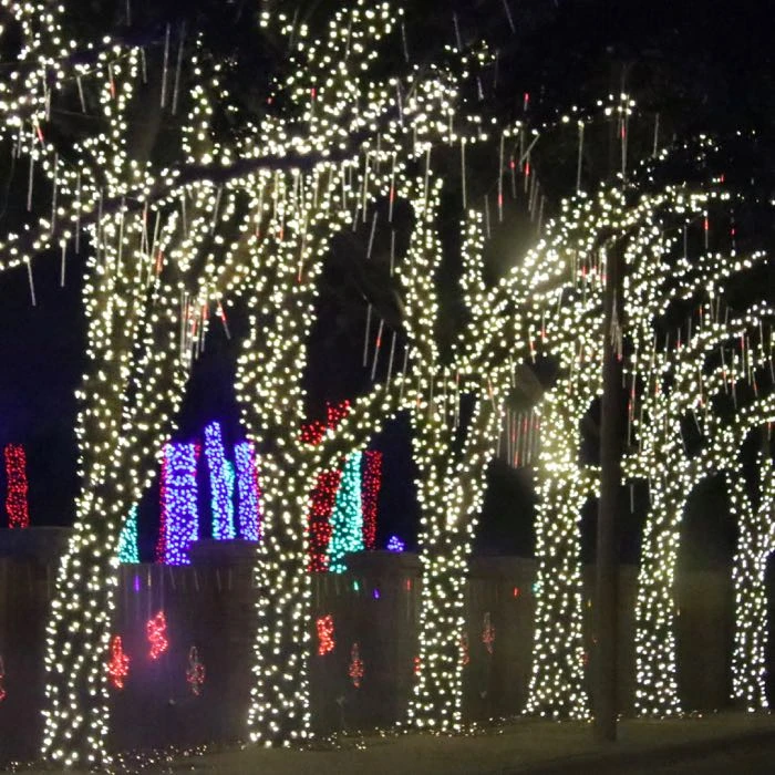 50-light M5 Warm White LED Christmas Lights, 4" Spacing Green Wire 5 50-light M5 Warm White LED Christmas Lights, 4" Spacing Green Wire - Image 3