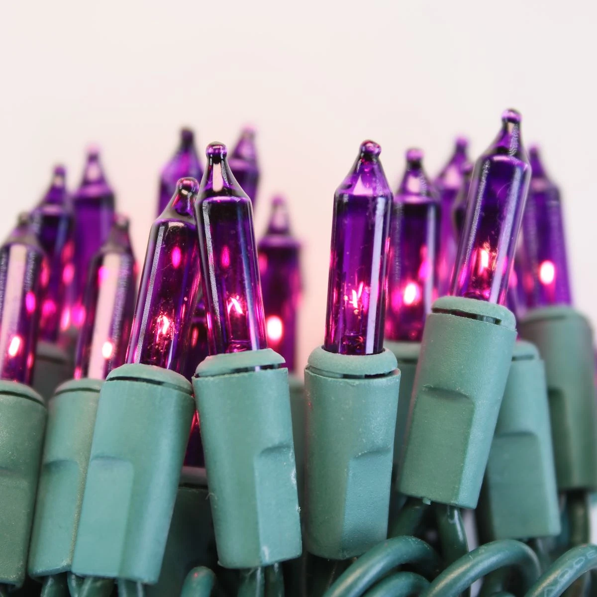 100-bulb Purple Mini Lights, 6" Spacing, Green Wire 3 100-bulb Purple Mini Lights, 6" Spacing, Green Wire
