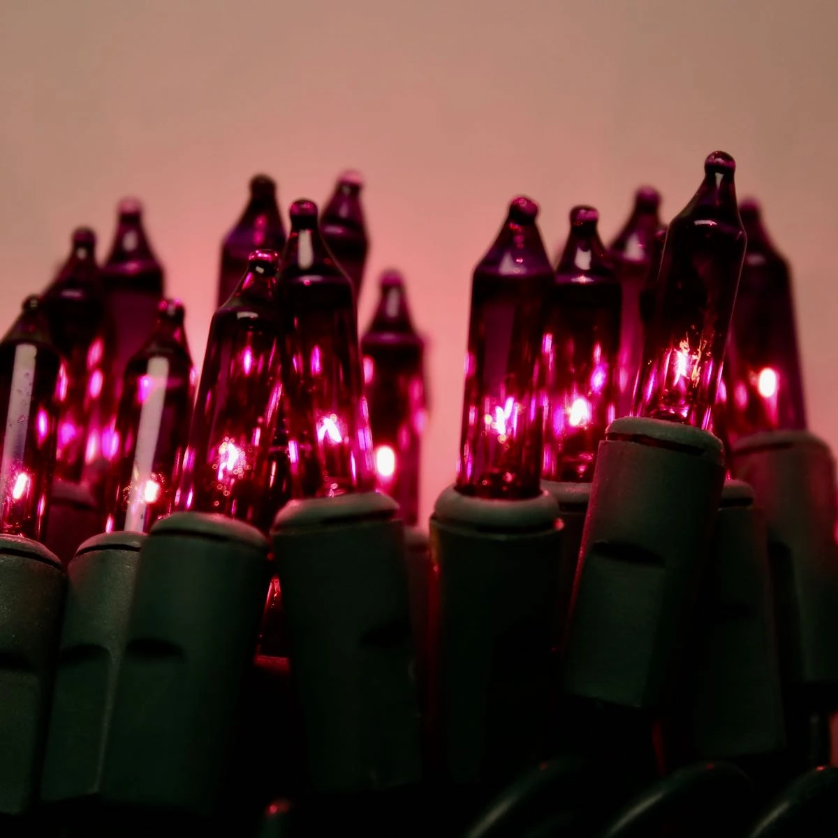 100-bulb Purple Mini Lights, 6" Spacing, Green Wire 5 100-bulb Purple Mini Lights, 6" Spacing, Green Wire - Image 3
