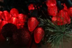 25-light C7 Red LED Christmas Lights, 8" Spacing Green Wire -Decorative Lighting Store red c7 led christmas lights 080518a