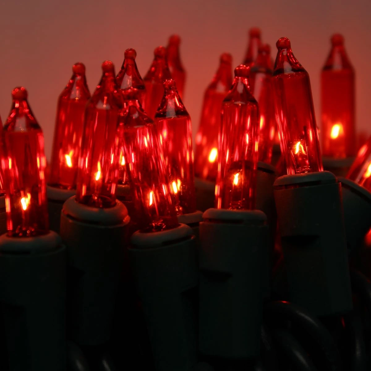 Red Commercial Mini Lights, Green Wire 5 Red Commercial Mini Lights, Green Wire - Image 3