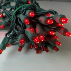 50-light 5mm Red LED Christmas Lights, 6" Spacing Green Wire 11 50-light 5mm Red LED Christmas Lights, 6" Spacing Green Wire -Decorative Lighting Store red green wire led a 1 f2cefc39 0355 4eb4 9795 5bfcb92f3163
