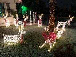 Decorative Lighting Store -Decorative Lighting Store sculpture clips photo 12717 ovalle