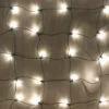 100-light Warm White 5mm LED Net Lights, Green Wire -Decorative Lighting Store warm white 5mm led net lights green wire 3 1 1