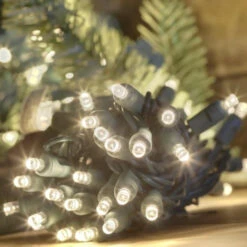 50-light 5mm Warm White LED Christmas Lights, Green Wire 6" Spacing 10 50-light 5mm Warm White LED Christmas Lights, Green Wire 6" Spacing -Decorative Lighting Store warm white green wire led christmas lights 5mm