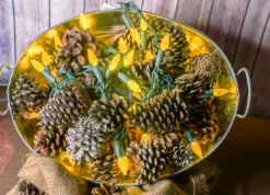 50-light C6 Yellow LED Christmas Lights, 4" Spacing Green Wire -Decorative Lighting Store yellow c6 led christmas lights b